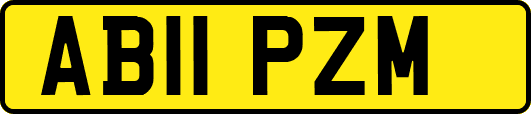 AB11PZM