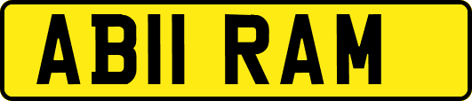 AB11RAM