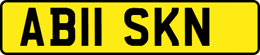AB11SKN