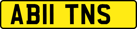 AB11TNS