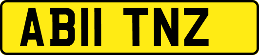 AB11TNZ