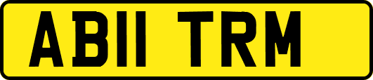 AB11TRM