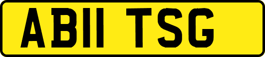 AB11TSG