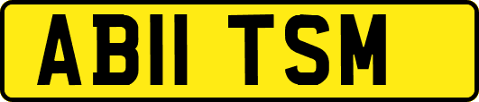 AB11TSM