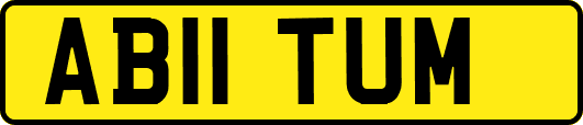 AB11TUM