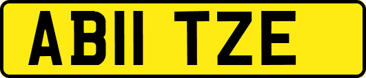 AB11TZE