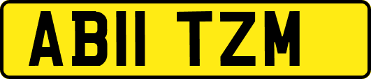 AB11TZM