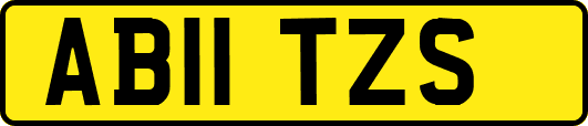 AB11TZS