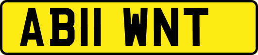 AB11WNT