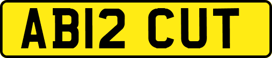 AB12CUT