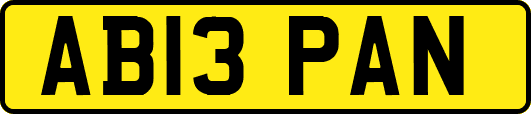 AB13PAN