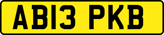 AB13PKB