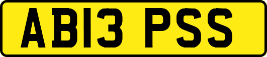 AB13PSS