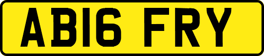 AB16FRY