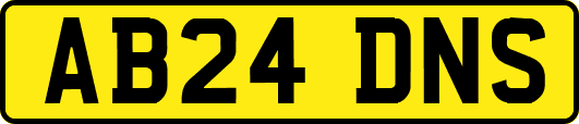 AB24DNS