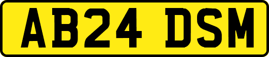 AB24DSM