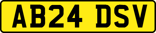 AB24DSV