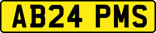 AB24PMS