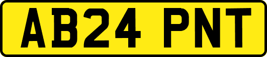AB24PNT