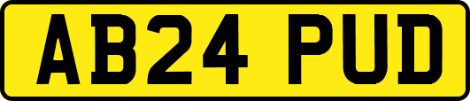 AB24PUD