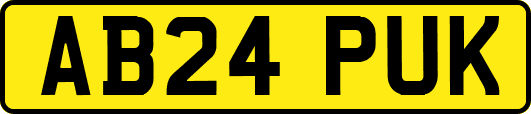 AB24PUK