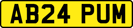 AB24PUM