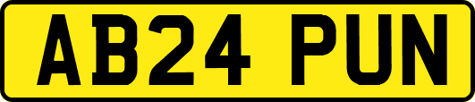 AB24PUN