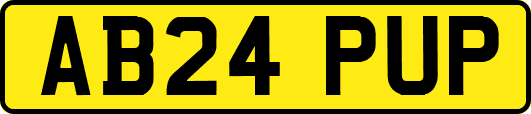AB24PUP