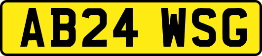 AB24WSG