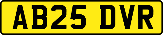 AB25DVR