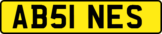 AB51NES