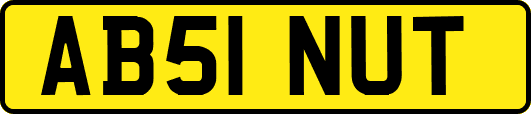 AB51NUT