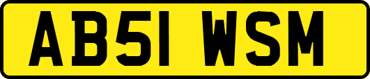 AB51WSM