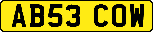 AB53COW