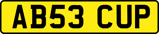 AB53CUP