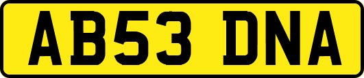 AB53DNA