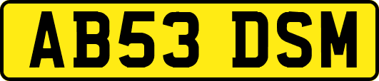 AB53DSM