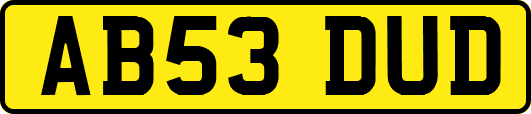AB53DUD