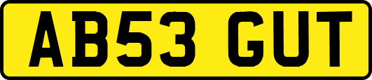 AB53GUT