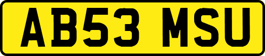 AB53MSU