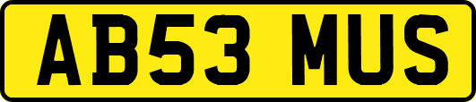 AB53MUS
