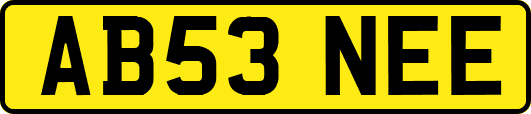 AB53NEE