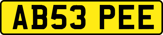 AB53PEE