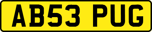 AB53PUG