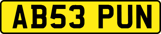 AB53PUN