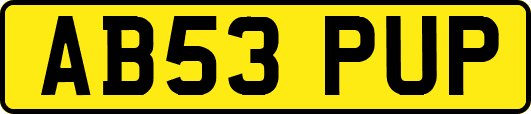 AB53PUP