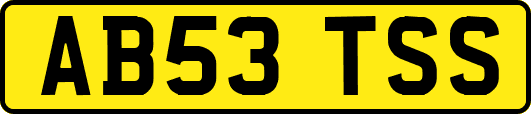 AB53TSS