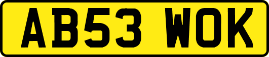 AB53WOK