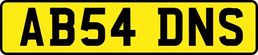 AB54DNS