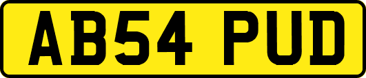 AB54PUD